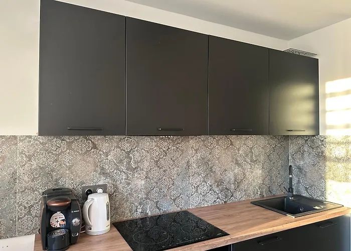 Apartament Апартаменты Тарновске-Гуры